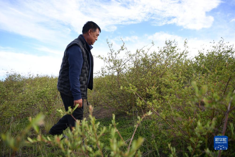 银河在线游戏大全